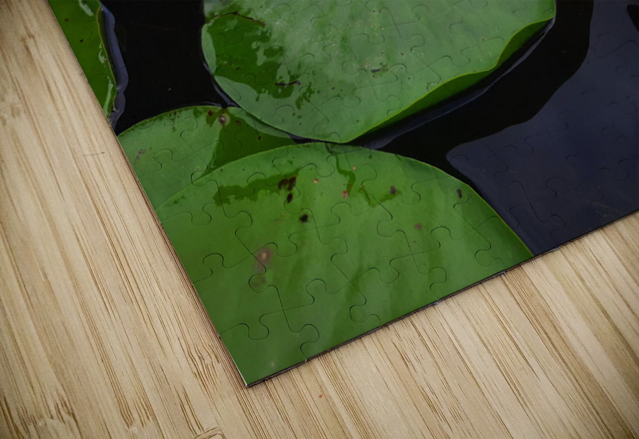 Water Lily 2 Earthshine Emporium Puzzle