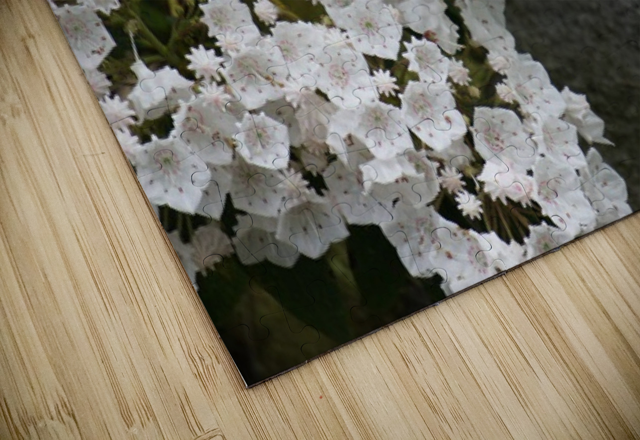 White Mountain Laurel Earthshine Emporium Puzzle