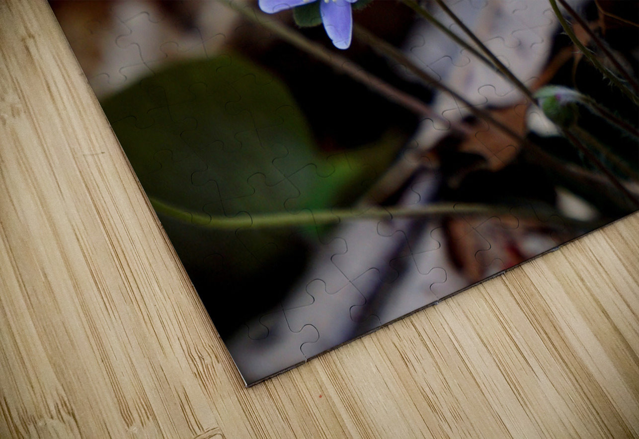 Hepatica Earthshine Emporium Puzzle