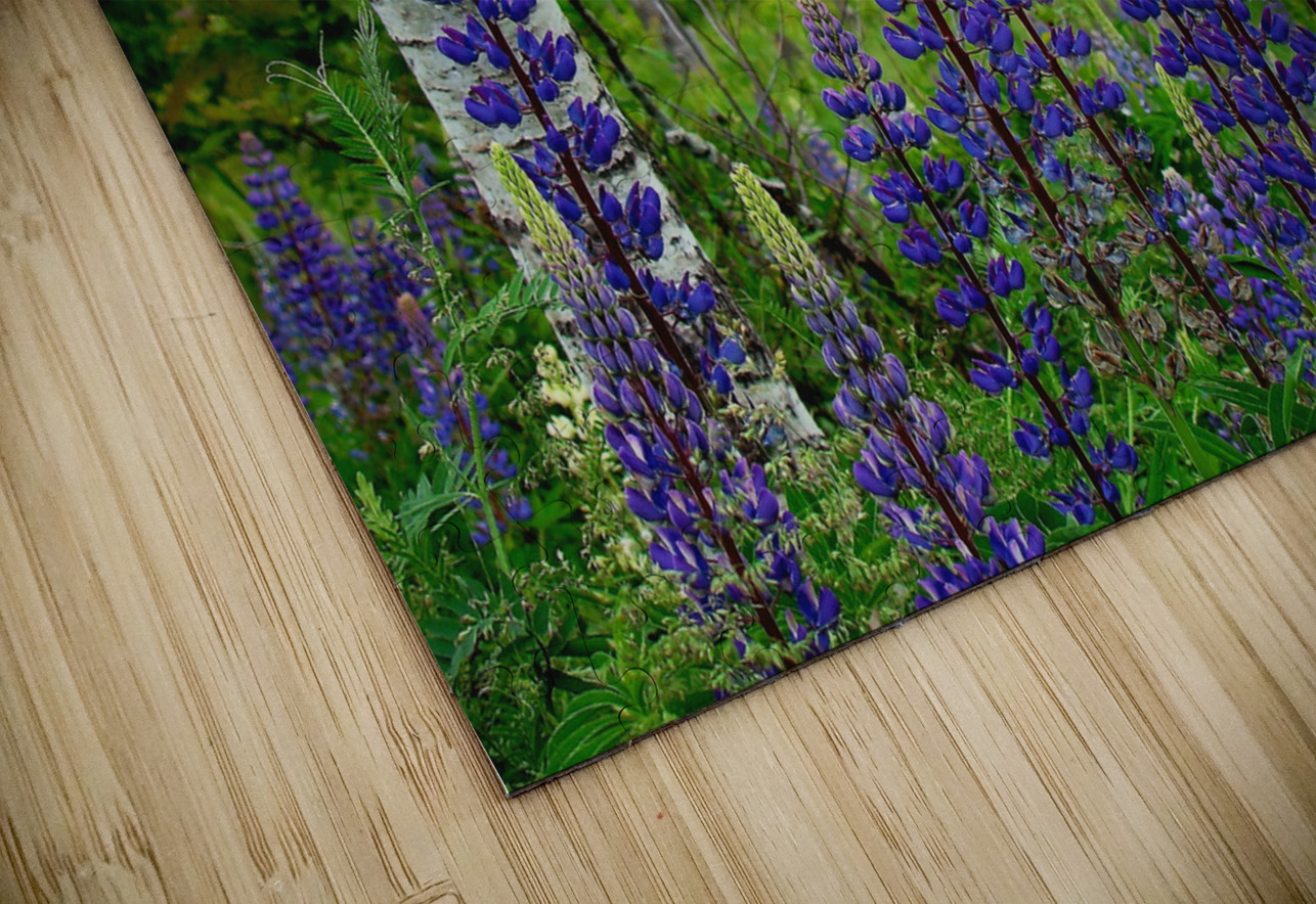 Maine Lupines Earthshine Emporium Puzzle