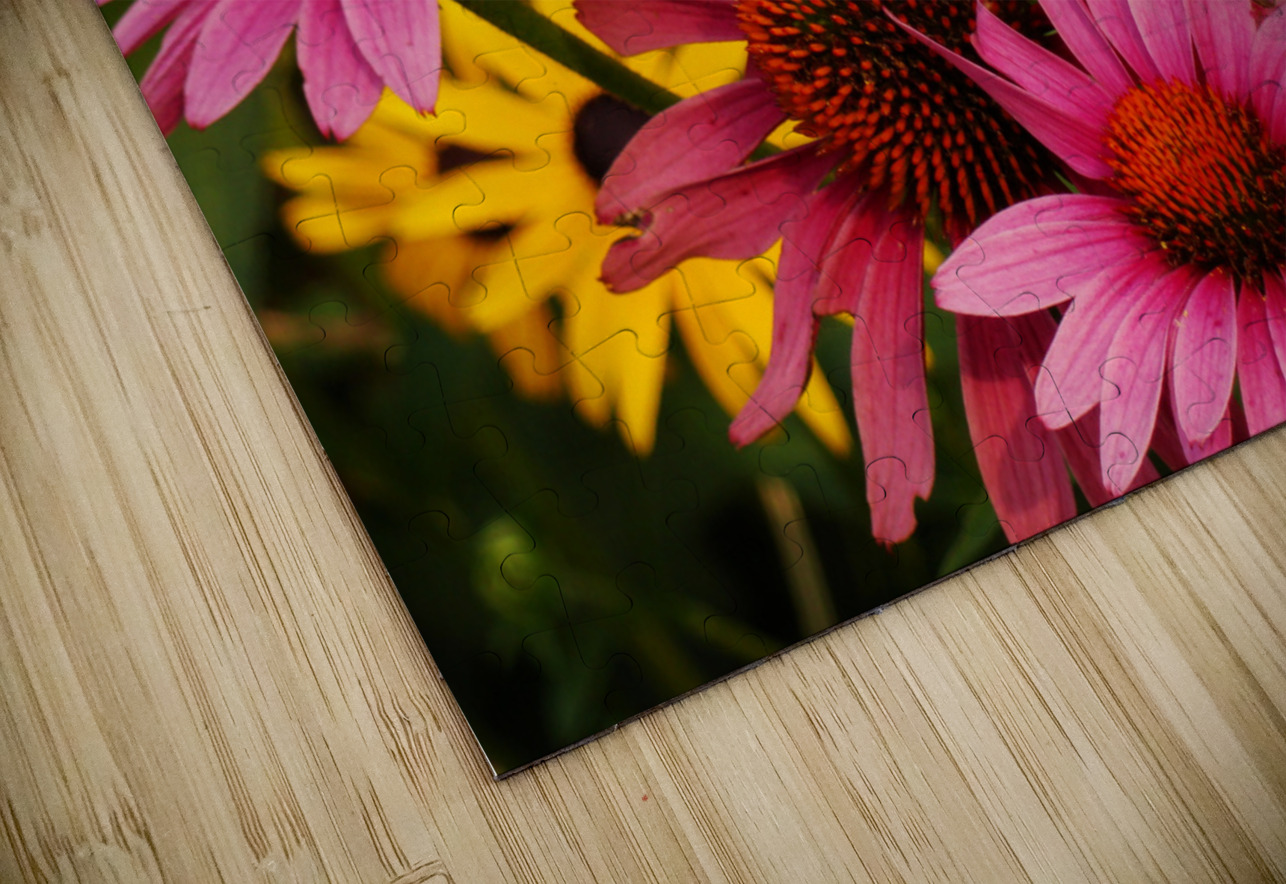 Echinacea And Rudbeckia Earthshine Emporium Puzzle