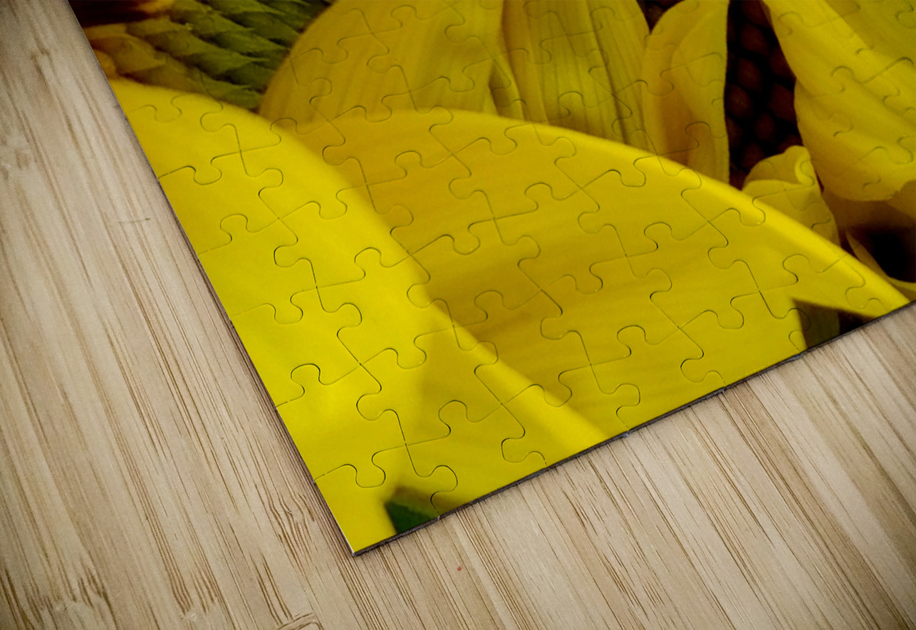 Unfurling Sunflower Earthshine Emporium Puzzle