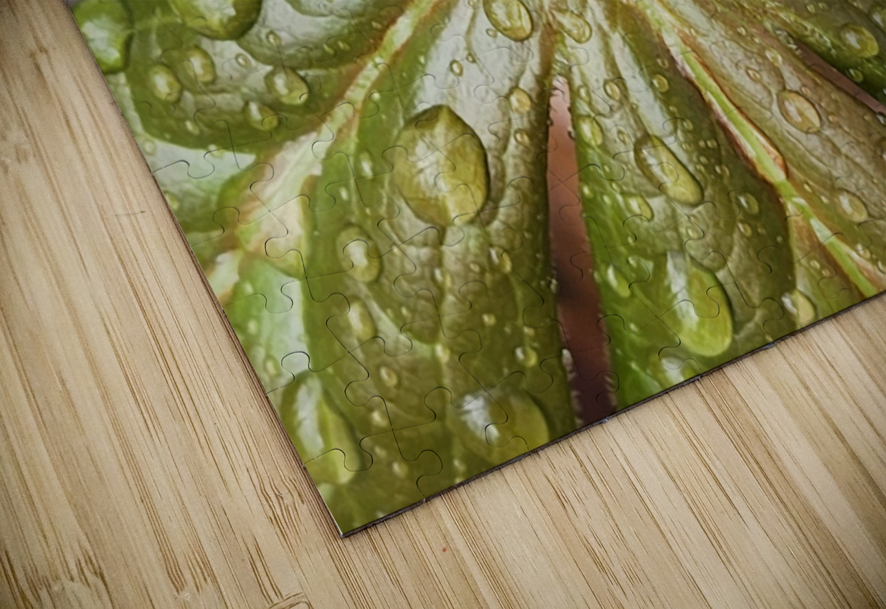 Raindrops On Mayapple Earthshine Emporium Puzzle