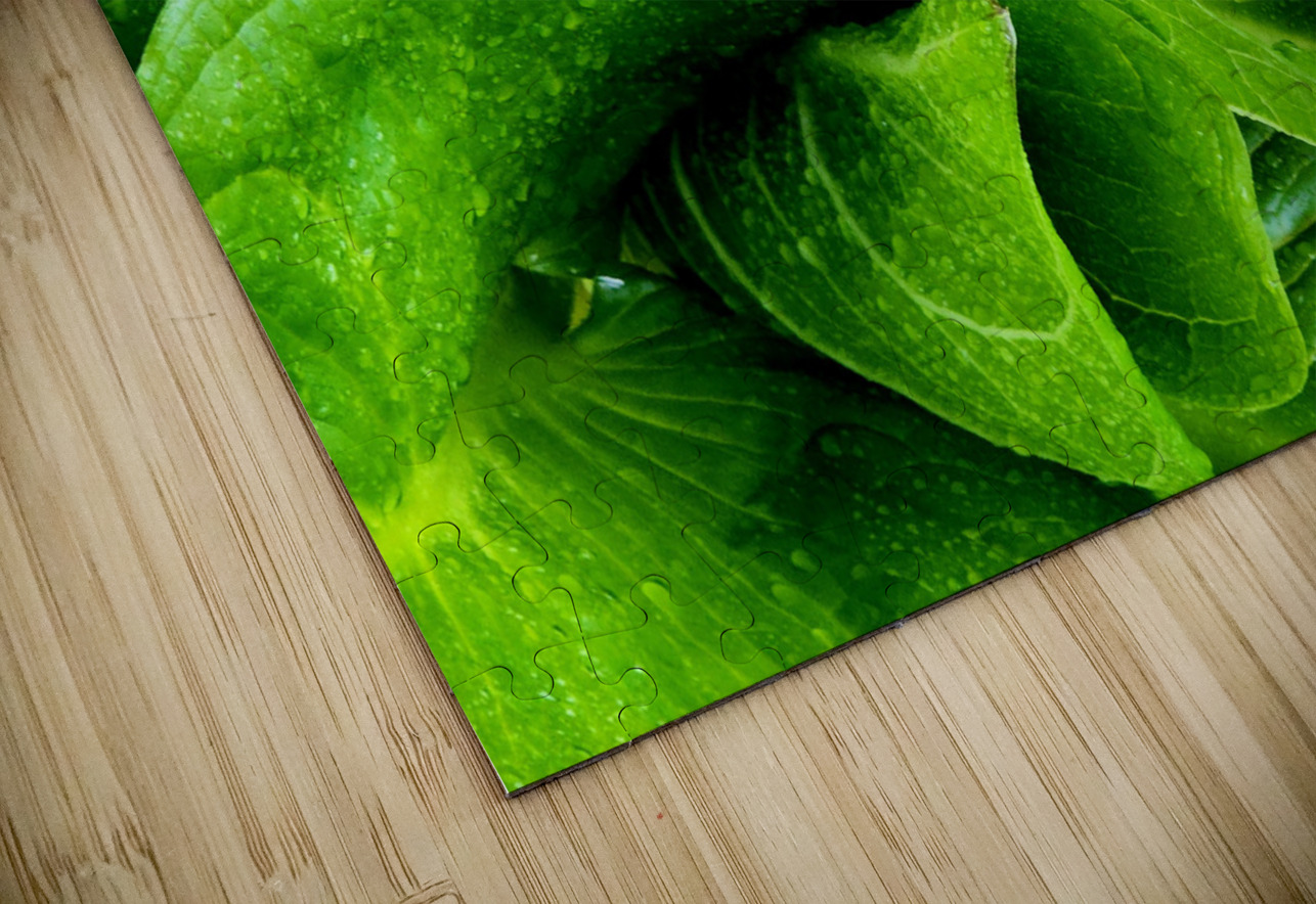 Skunk Cabbage Furls Earthshine Emporium Puzzle