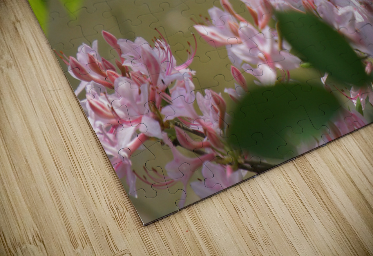 Native Azalea 2 Earthshine Emporium Puzzle