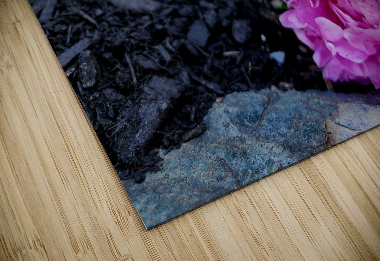 VT Peony 1 Earthshine Emporium Puzzle