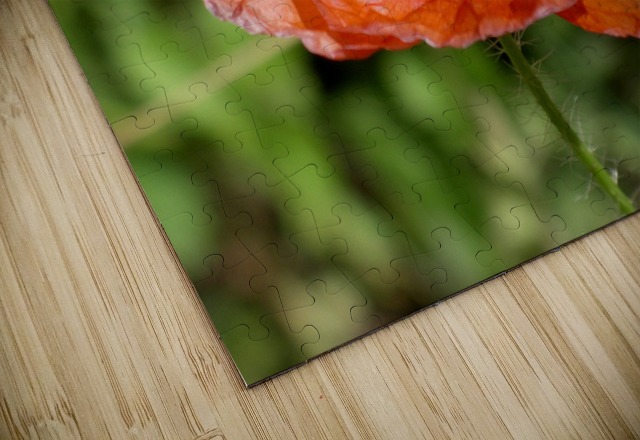 Poppy Earthshine Emporium Puzzle