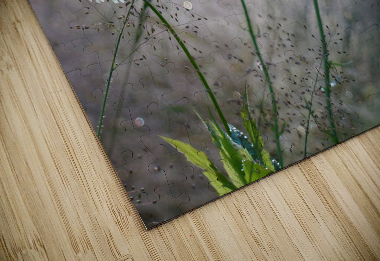 Daisies Earthshine Emporium Puzzle