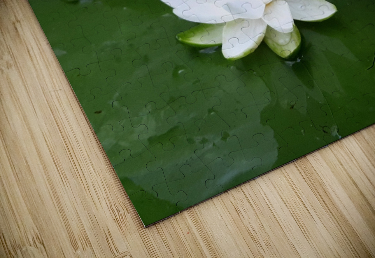 Water Lily 1 Earthshine Emporium Puzzle