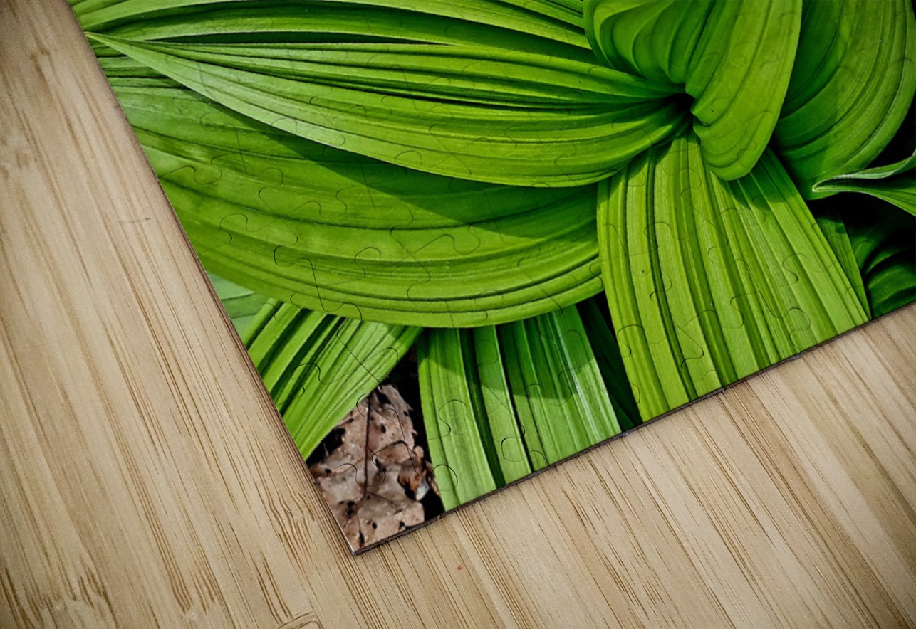 Green False Hellebore Earthshine Emporium Puzzle