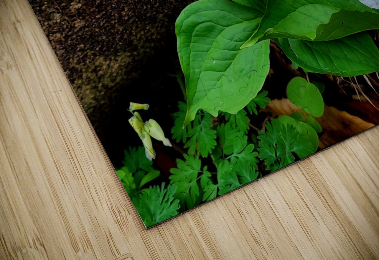 Trillium Duo Earthshine Emporium Puzzle