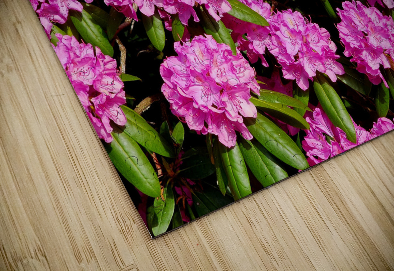 Rhododendron Earthshine Emporium Puzzle