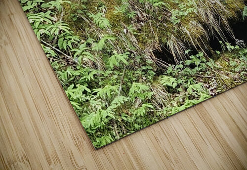 Faces Of The Smokies 5 Earthshine Emporium puzzle