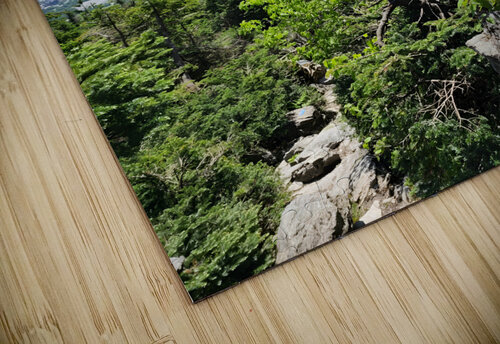 White Mountains 4 Earthshine Emporium puzzle