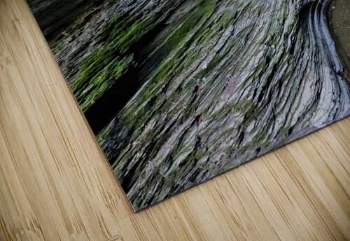 Watkins Glen State Park 2 Earthshine Emporium puzzle