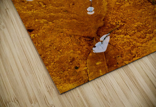 Red Maple Encased In Iron Oxide Earthshine Emporium puzzle