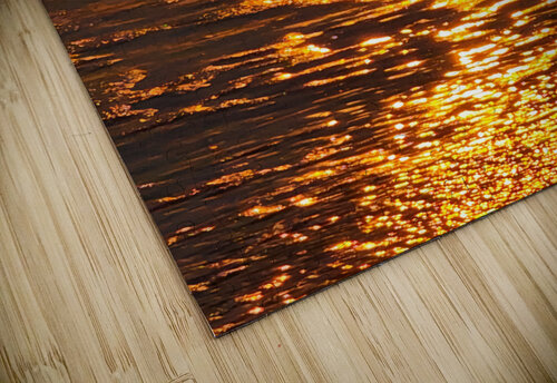 Golden Ocean Earthshine Emporium puzzle