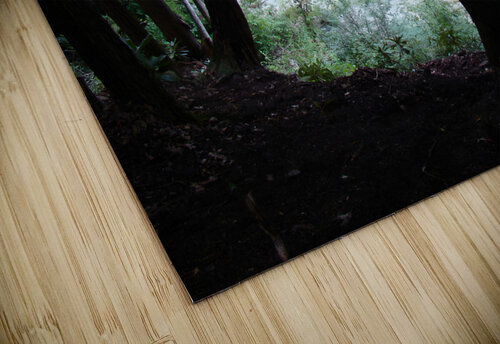 Stonycreek River Headwaters Earthshine Emporium puzzle