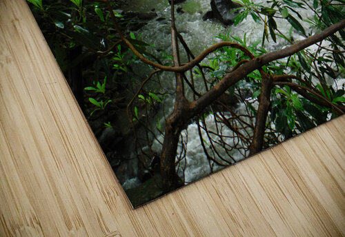 Roaring Run Earthshine Emporium puzzle