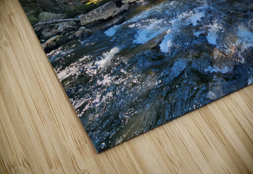 Clear Shade Creek Earthshine Emporium puzzle