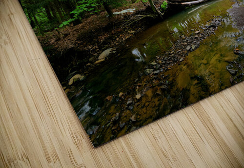 Laurel Run Earthshine Emporium puzzle