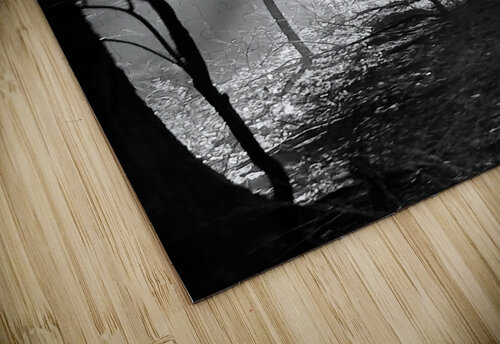 Morning Sunlight Earthshine Emporium puzzle