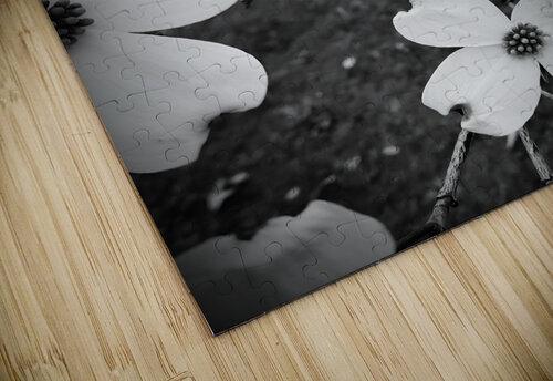 Flowering Dogwood Earthshine Emporium puzzle