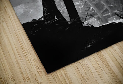 Forest Light Earthshine Emporium puzzle