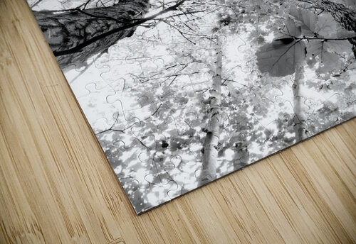 Forest Squad Earthshine Emporium puzzle