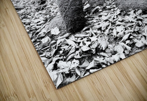 Natural A Earthshine Emporium puzzle