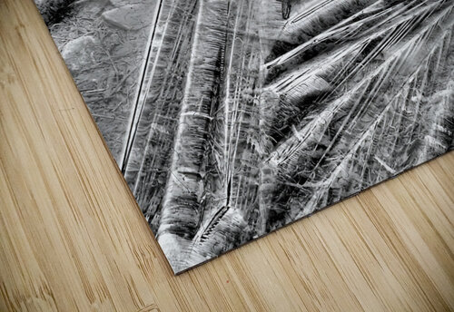 Geometric Ice Earthshine Emporium puzzle