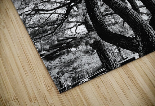 Evergreen Trident Earthshine Emporium puzzle