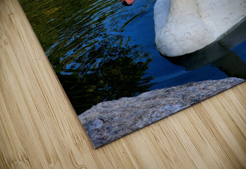 Swan 1 Earthshine Emporium puzzle