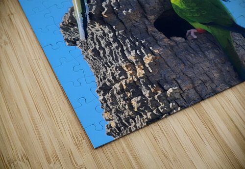 Nanday Parakeets Earthshine Emporium puzzle