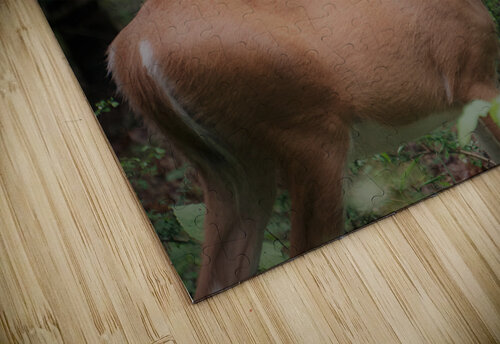 Doe Earthshine Emporium puzzle