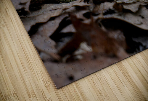 Garter Snakes Earthshine Emporium puzzle