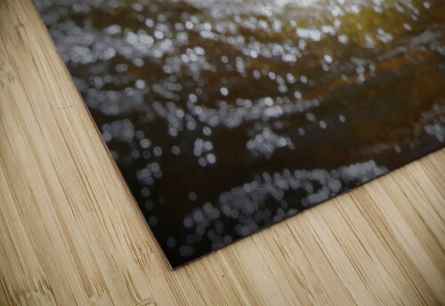 Stonefly Shucks Earthshine Emporium puzzle