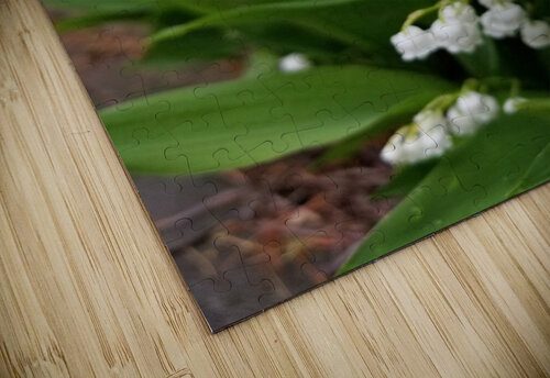 Lily Of The Valley Earthshine Emporium puzzle