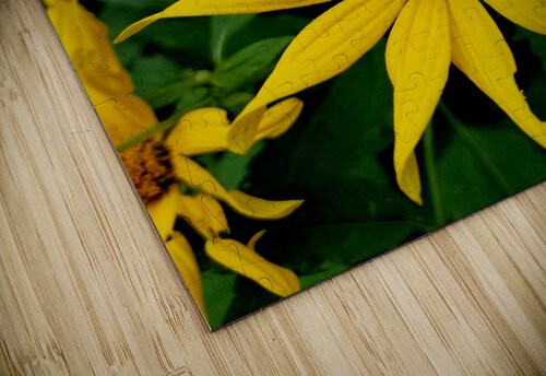 Bumblebee On Helianthus Earthshine Emporium puzzle