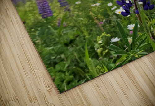 White Mountain Lupines Earthshine Emporium puzzle