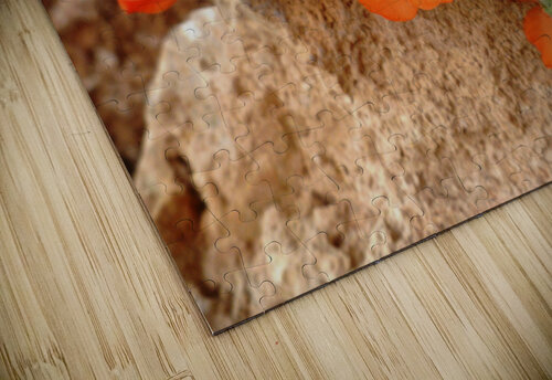 Orange Flowers Earthshine Emporium puzzle