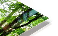 Laurel Run HD Metal print