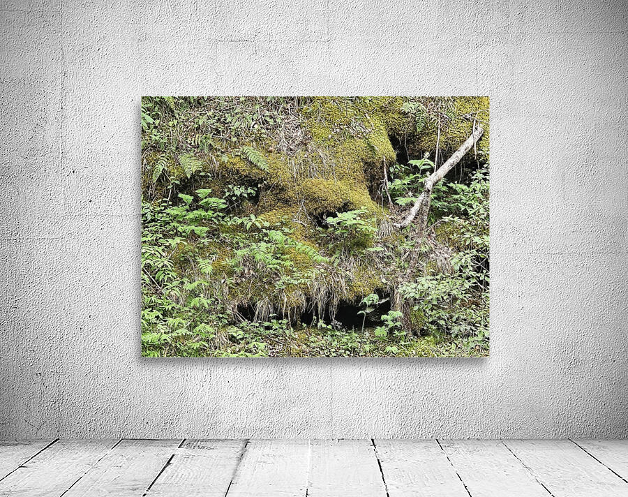 Faces Of The Smokies 5 by Earthshine Emporium