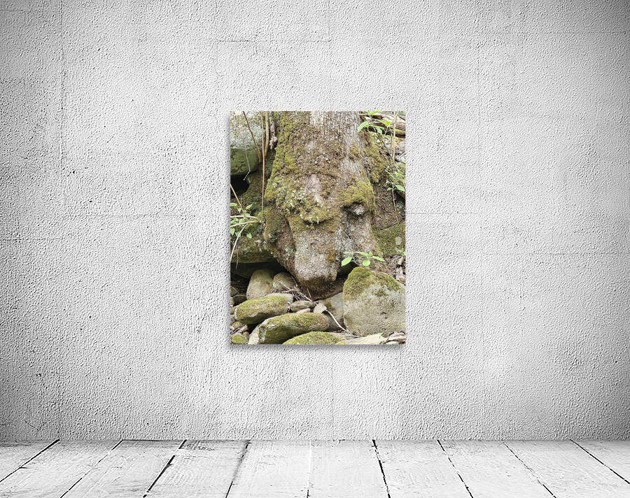 Faces Of The Smokies 1 by Earthshine Emporium