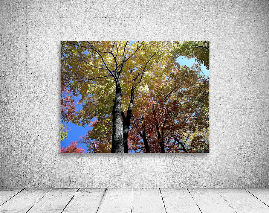 Golden Tree by Earthshine Emporium