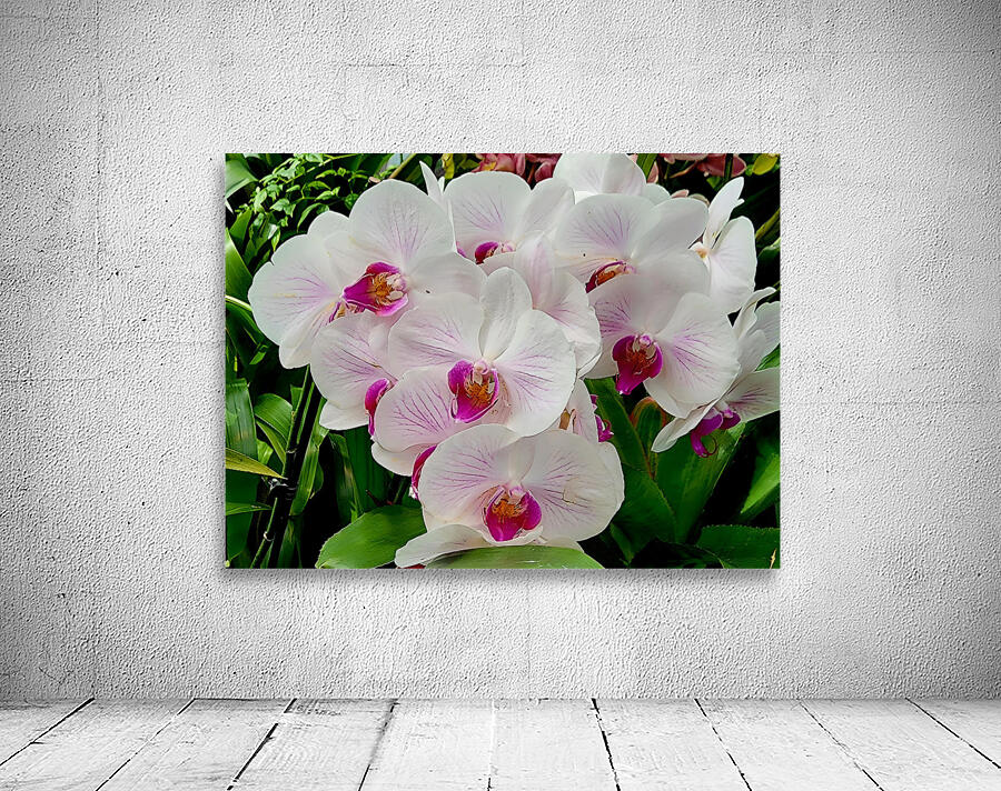 Orchid Cluster by Earthshine Emporium