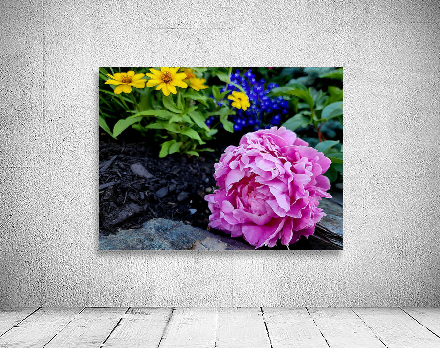 VT Peony 1 by Earthshine Emporium