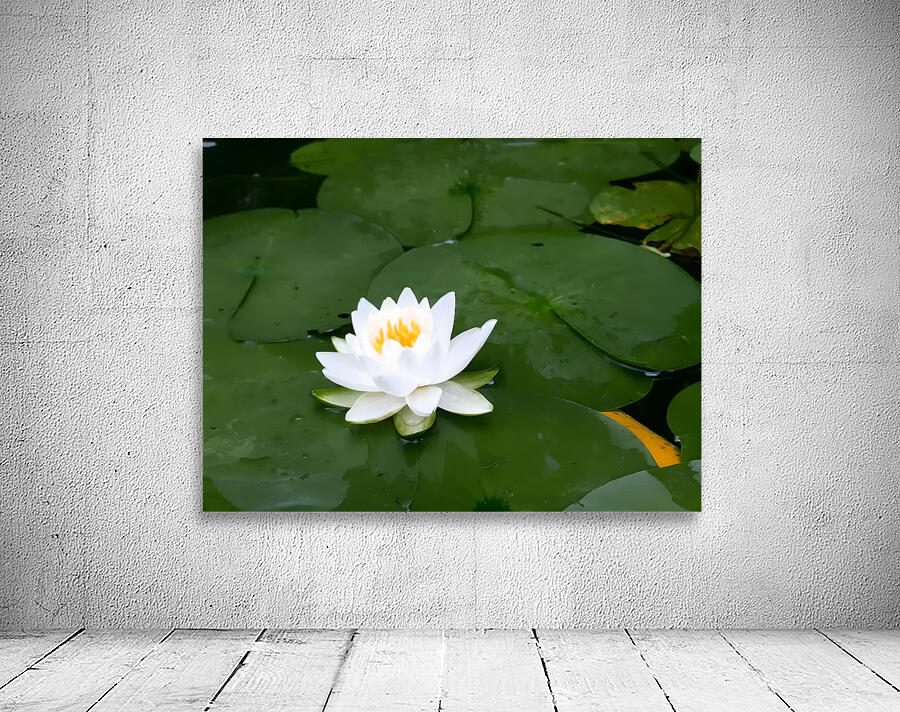 Water Lily 1 by Earthshine Emporium