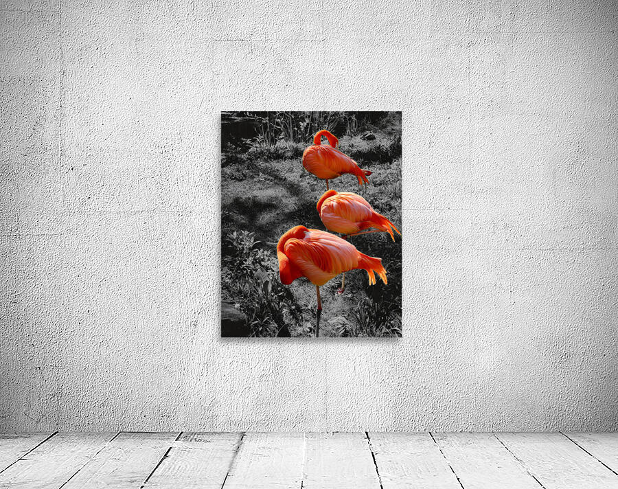 Flamingos Tucked Wall Preview