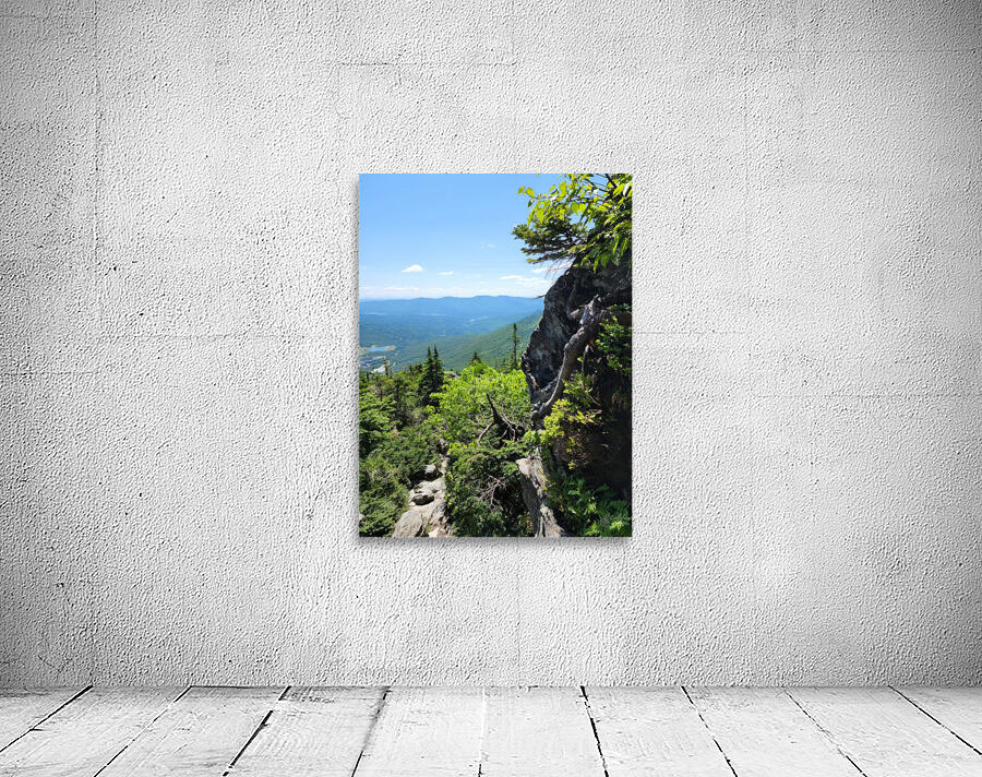 White Mountains 4 Wall Preview